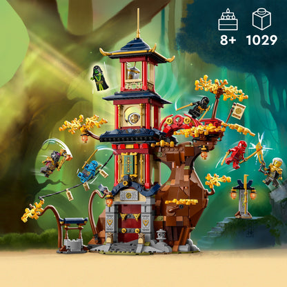 LEGO Tempel der Drachen-Energiekerne 71795 Ninjago