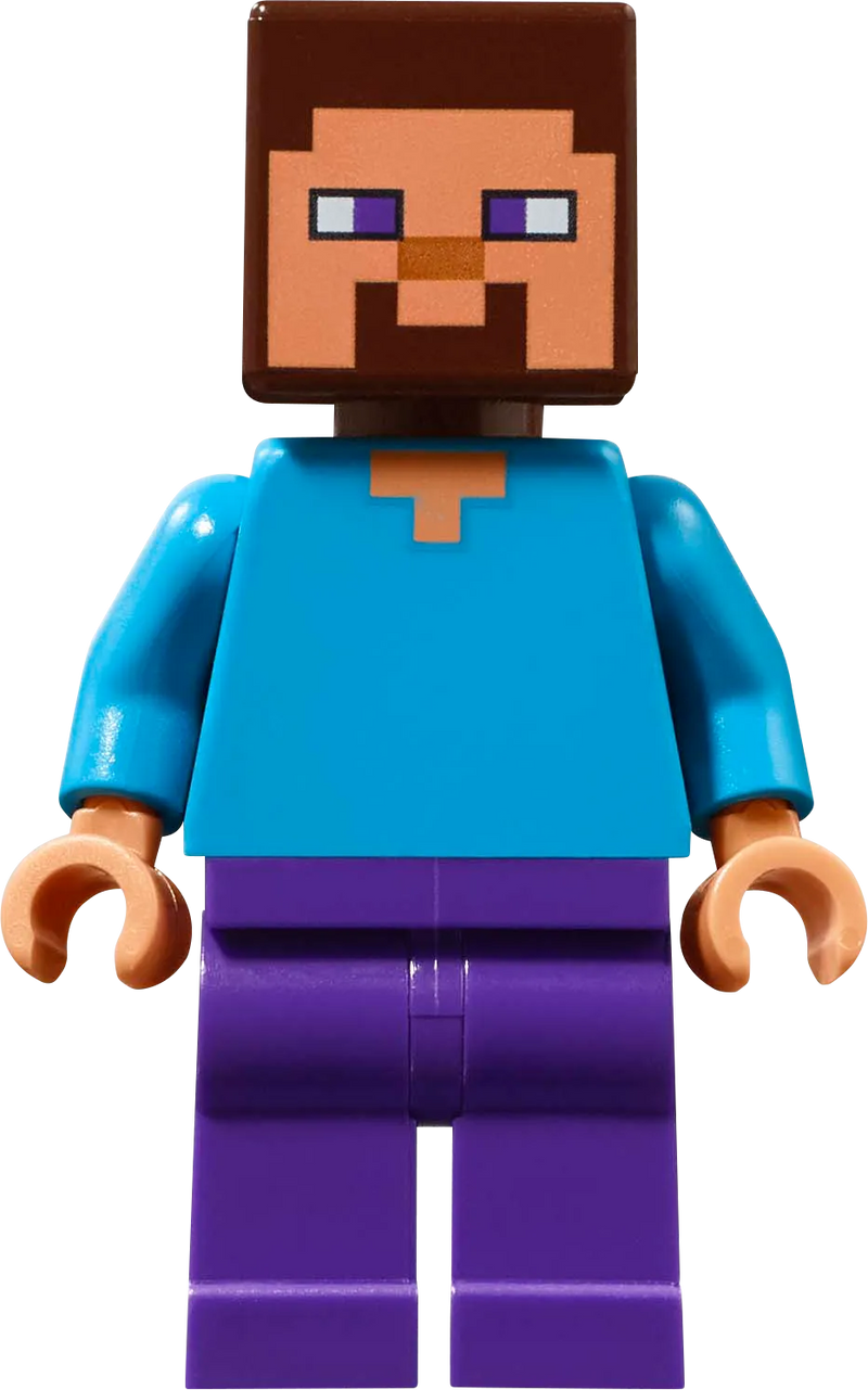 LEGO The Mushroom House 21270 Minecraft