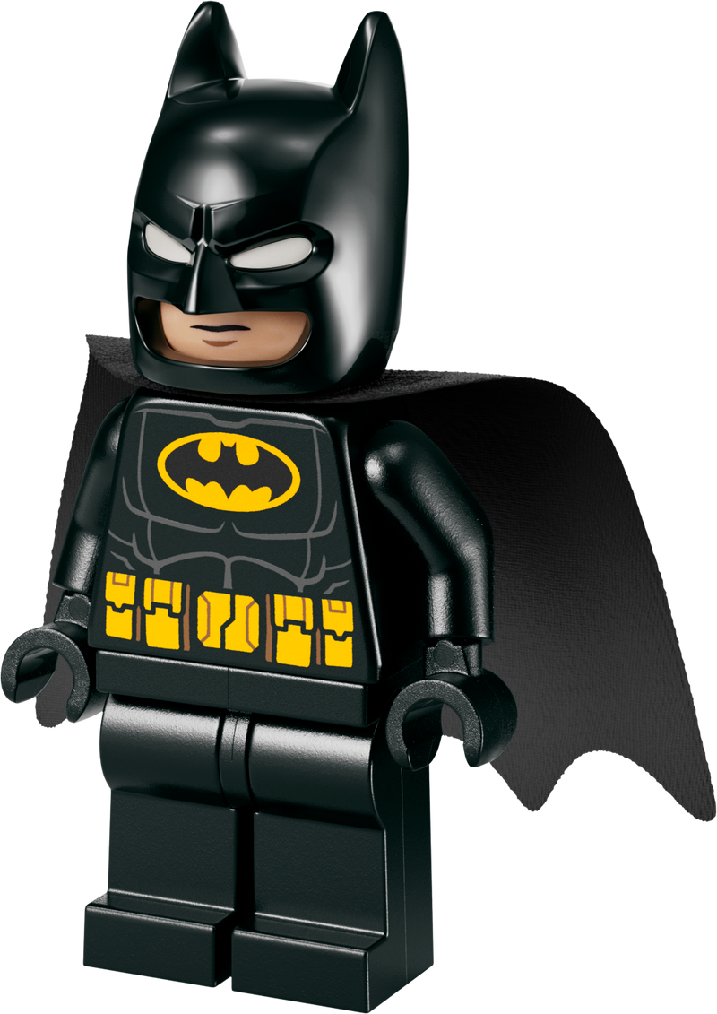 LEGO The Batman & Batmobile Vs Mr. Freeze 76301 Batman