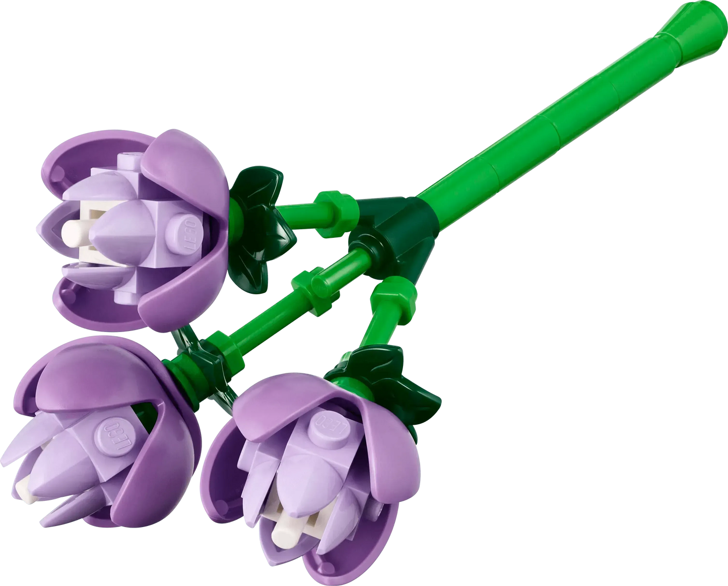 LEGO Blumenarrangement 10345 Botanische Sammlung