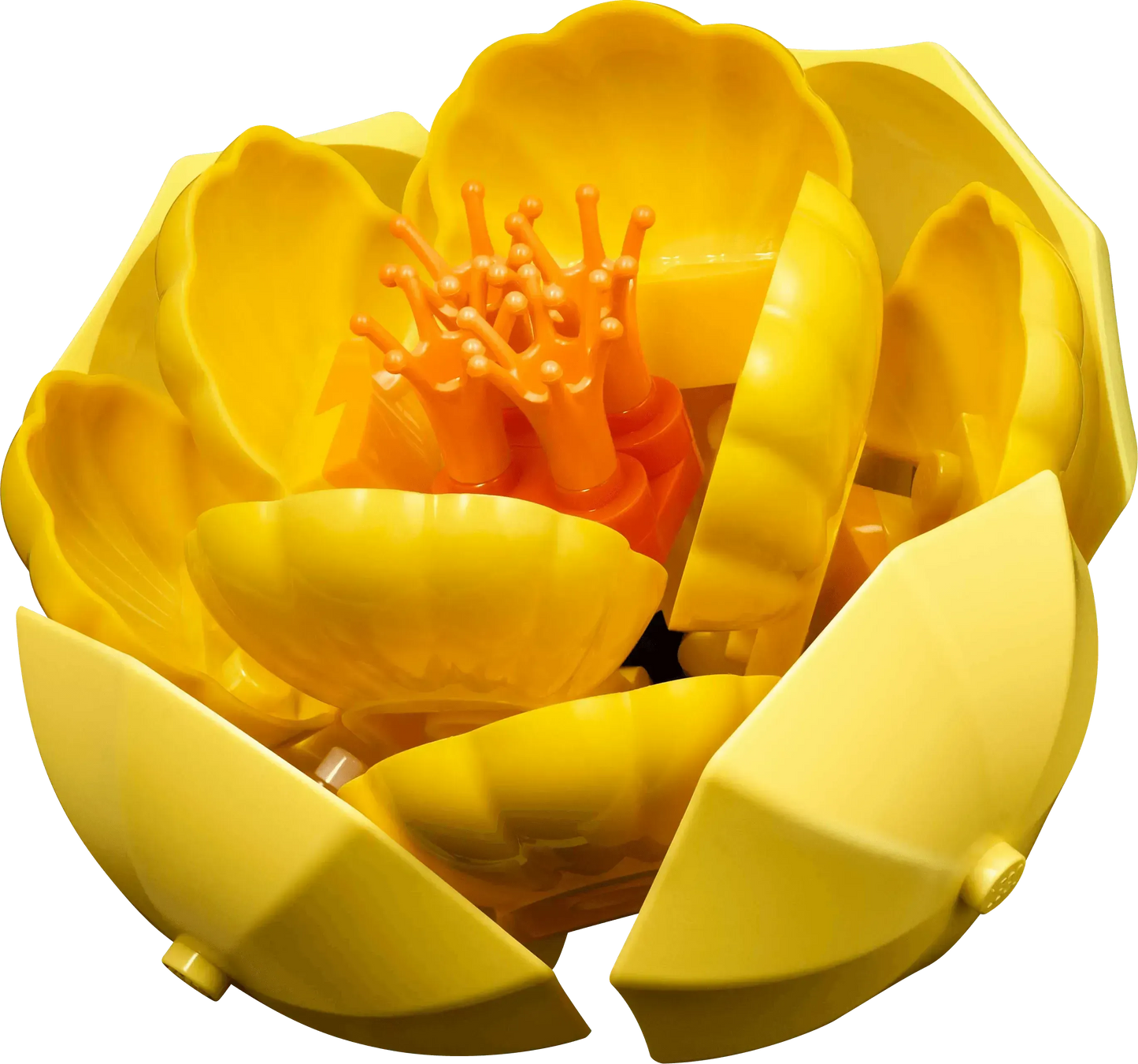 LEGO Blumenarrangement 10345 Botanische Sammlung