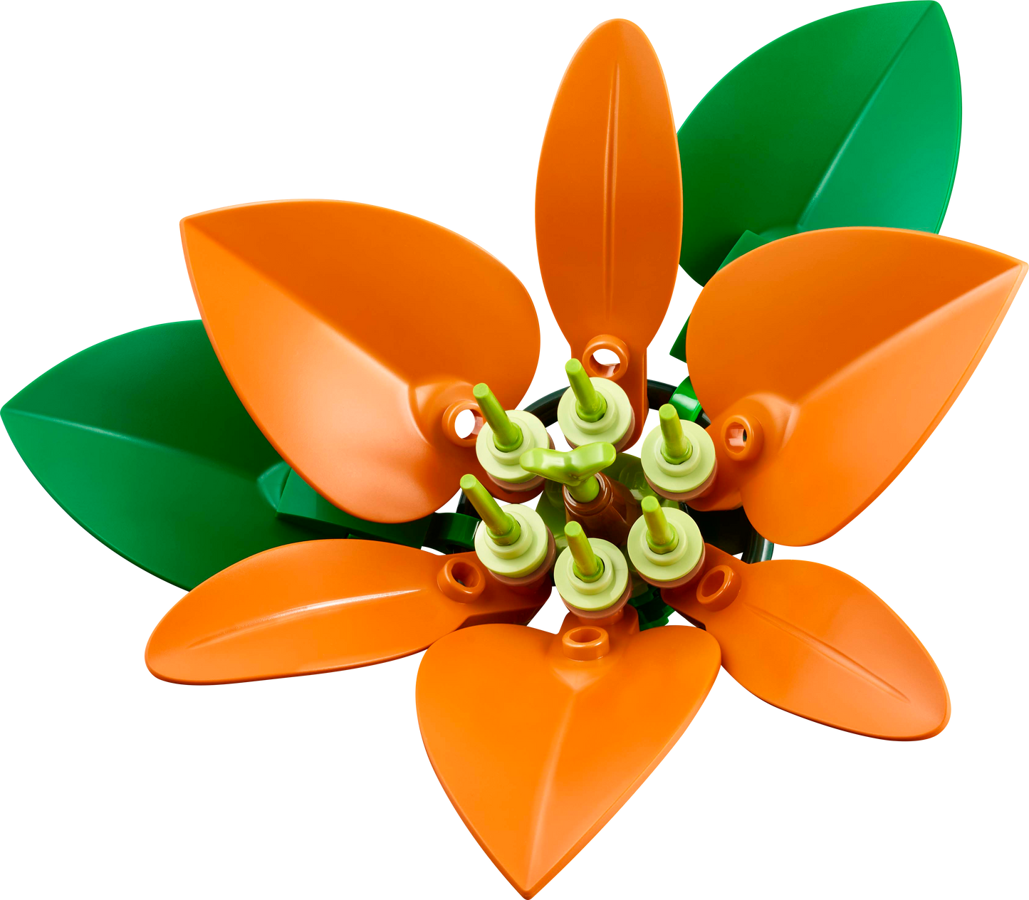 LEGO Blumenarrangement 10345 Botanische Sammlung
