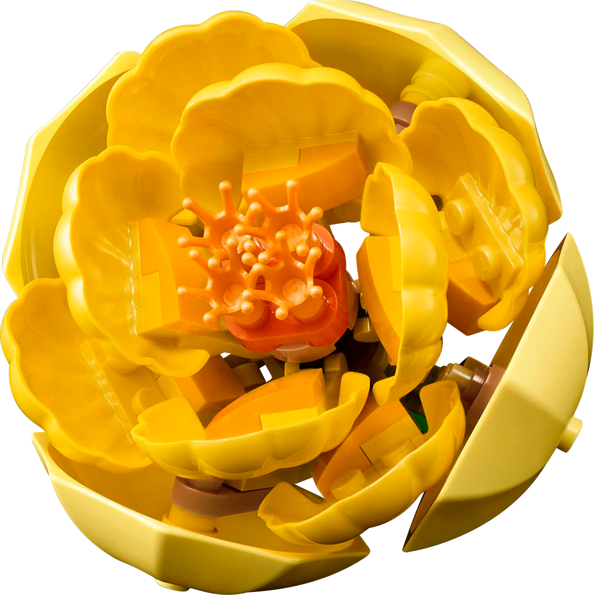LEGO Blumenarrangement 10345 Botanische Sammlung