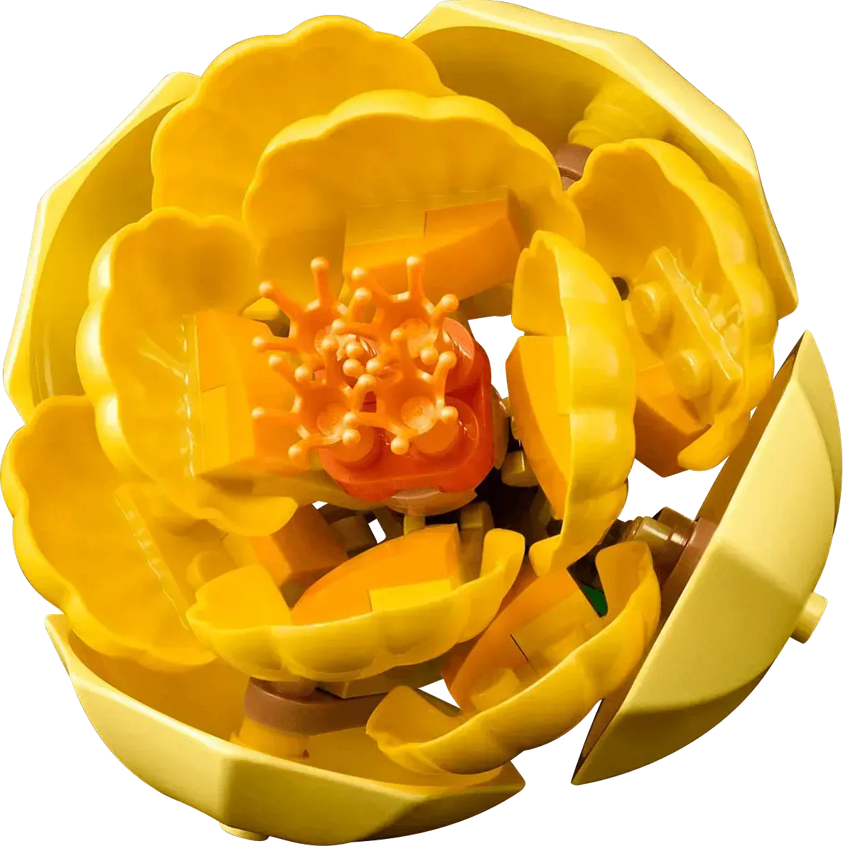 LEGO Blumenarrangement 10345 Botanische Sammlung