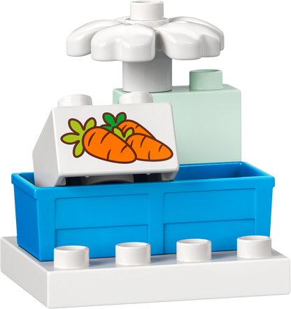 LEGO Anna en Elsa's Frozen kasteelfeest 10455 DUPLO