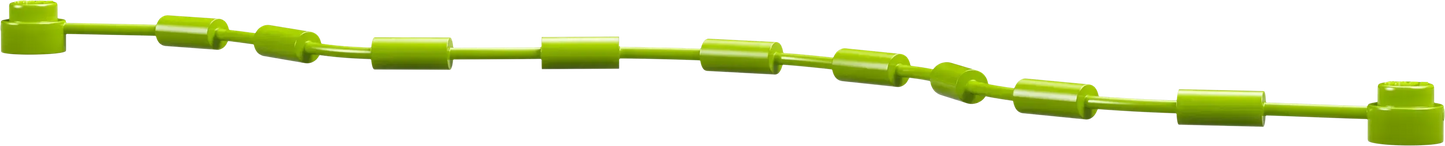 LEGO Spin en Electrische dino auto 11198 DUPLO