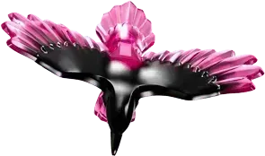 LEGO De Middernachtraaf van de Neder Heks 71478 Dreamzzz