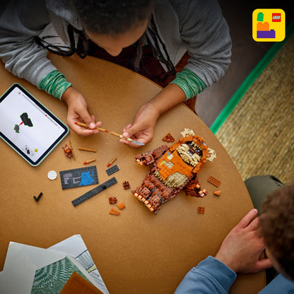 LEGO Wicket the Ewok 75430 StarWars