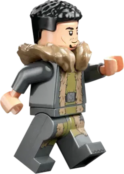 LEGO Toverschool Toernooi: de aankomst 76440 Harry Potter