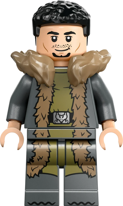 LEGO Toverschool Toernooi: de aankomst 76440 Harry Potter