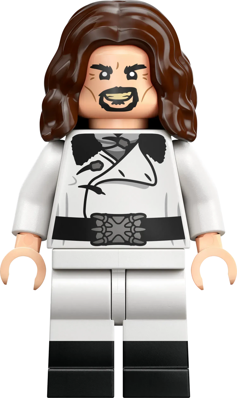 LEGO Toverschool Toernooi: de aankomst 76440 Harry Potter