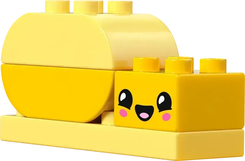 LEGO Creative Flower Garden 10444 DUPLO