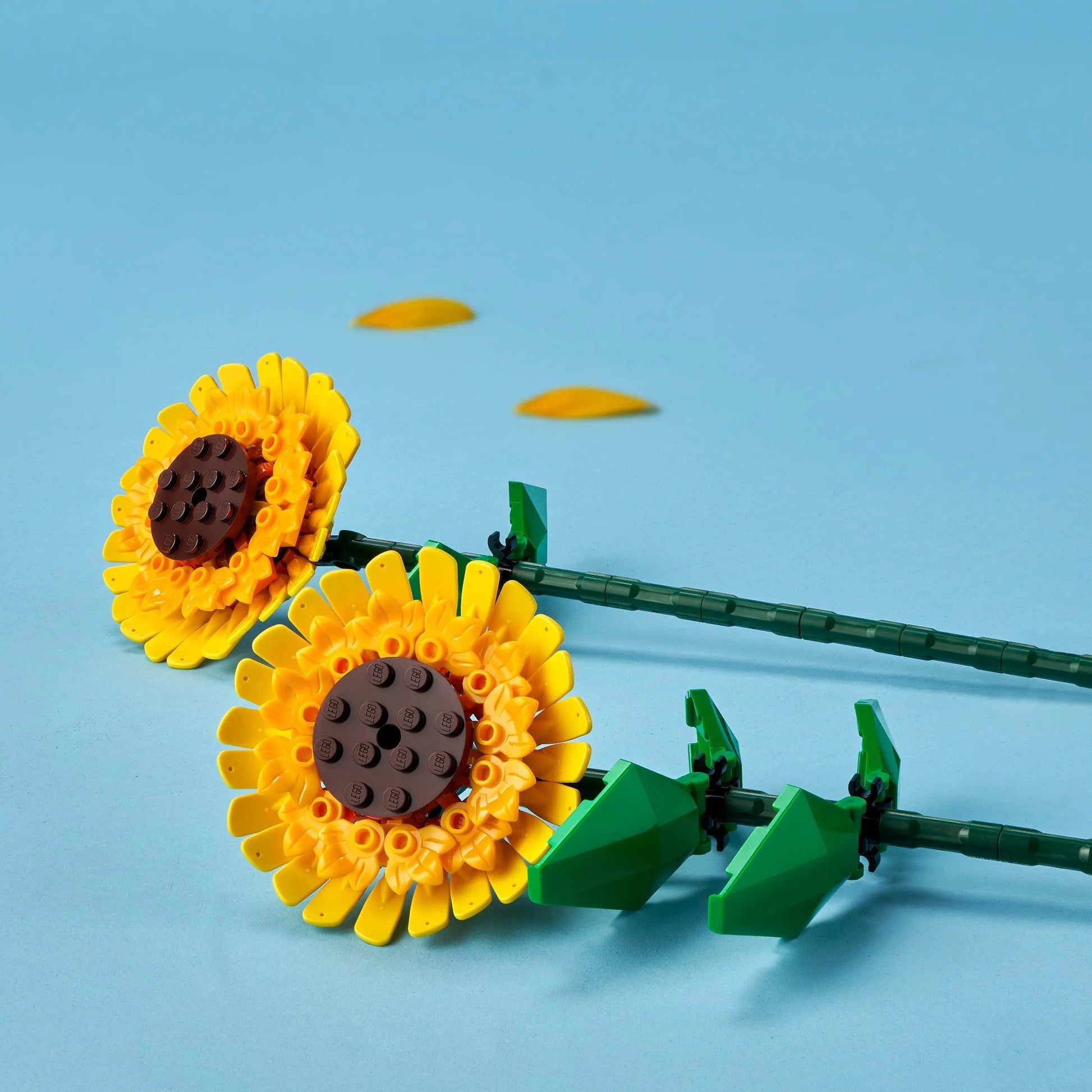 LEGO Zonnebloemen Creator 40524 Creator LEGO CREATOR EXPERT BOTANISCHE COLLECTIE @ 2TTOYS | Official LEGO shop😊🥰 LEGO €. 12.49